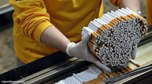 Petani Tembakau Cuma Jadi Tameng Industri Rokok Ogah Setujui FCTC